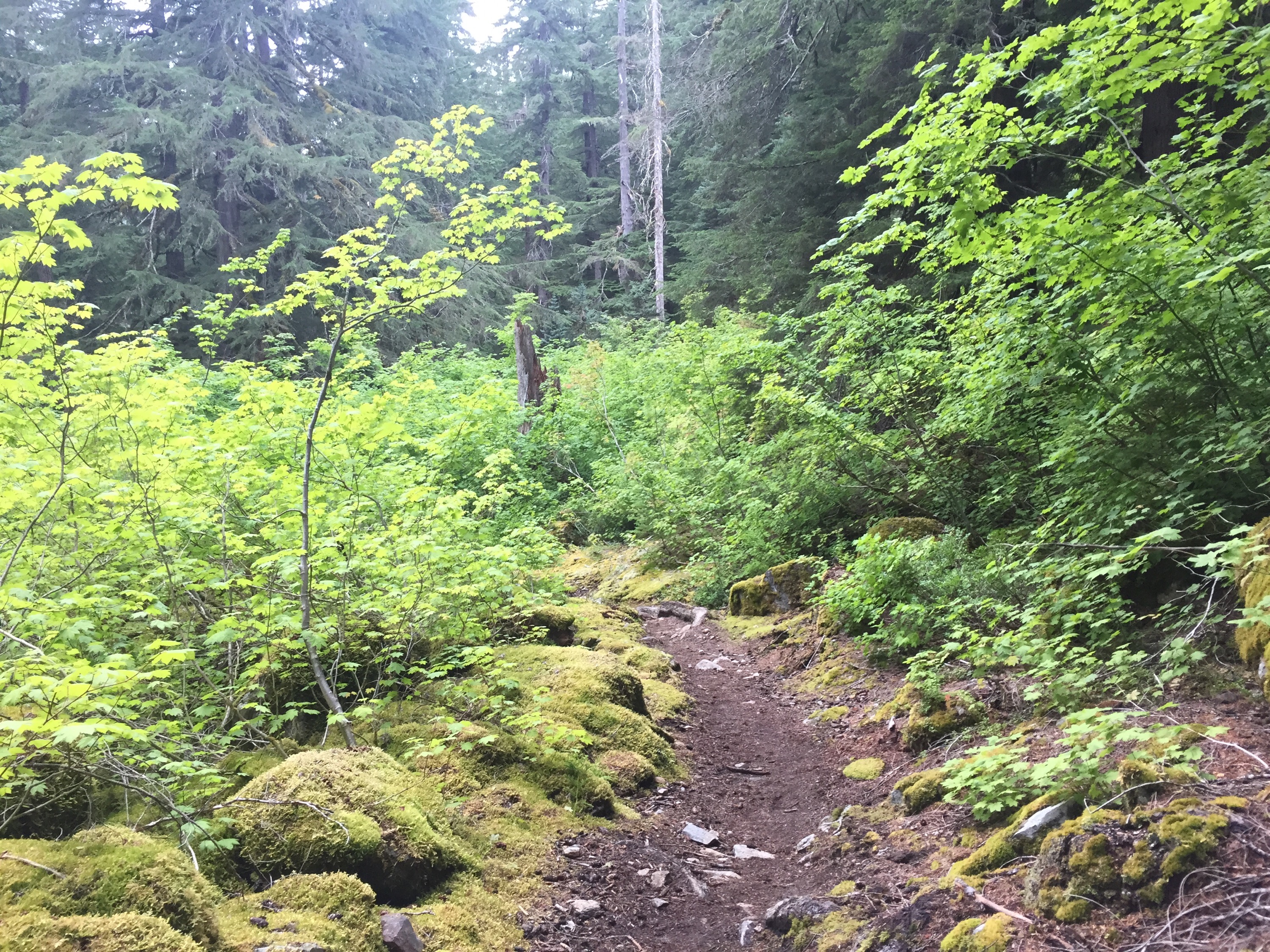 Is it Tine to Change your Path?